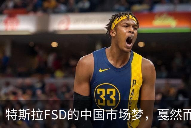 特斯拉FSD的中国市场梦，戛然而止的现实